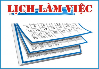 Lịch làm việc tuần 8