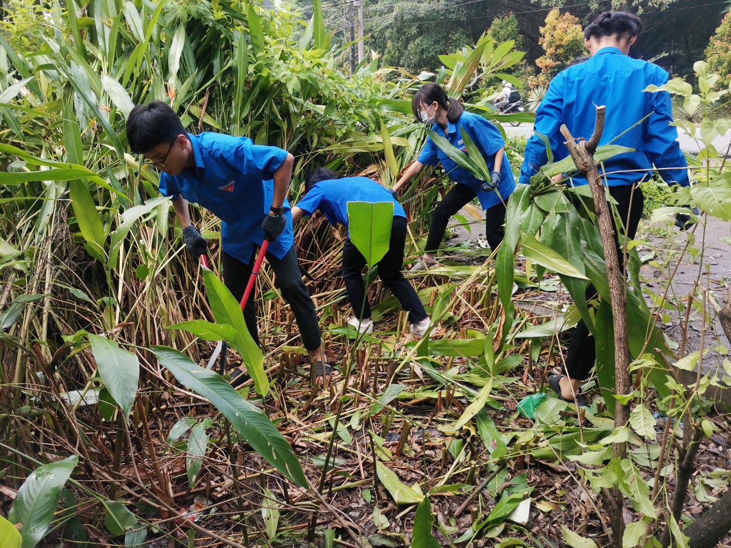 z3592418992923 6cf11a9024a53b0eea5cf82bbecaa782