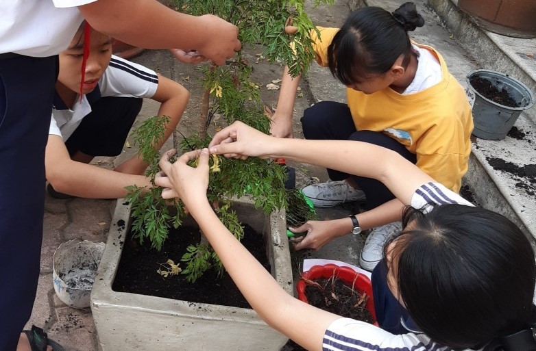 z4149149378192 ea7456689caee97ece53fecbd1308c4c