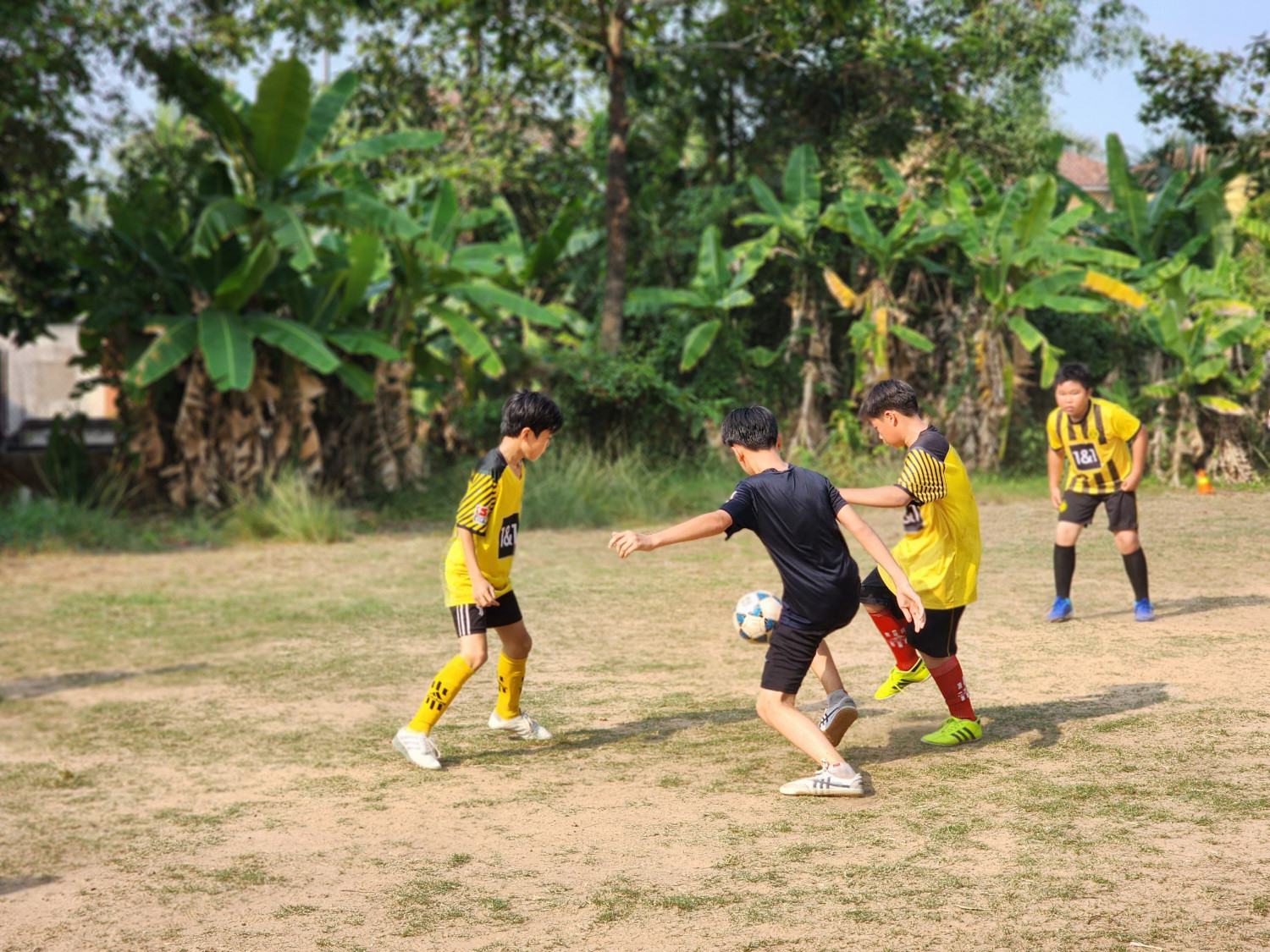 z4286482600510 c66c67c3d98c8ab053548ca97a617e82