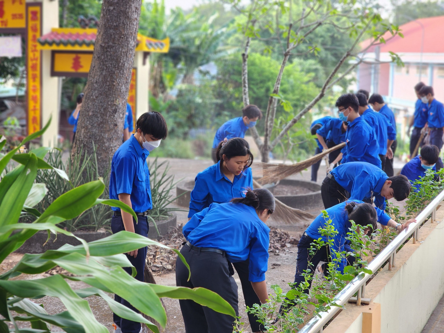 z4363217765423 663f644e2aa8ed12ce6ccfebe04f40ff