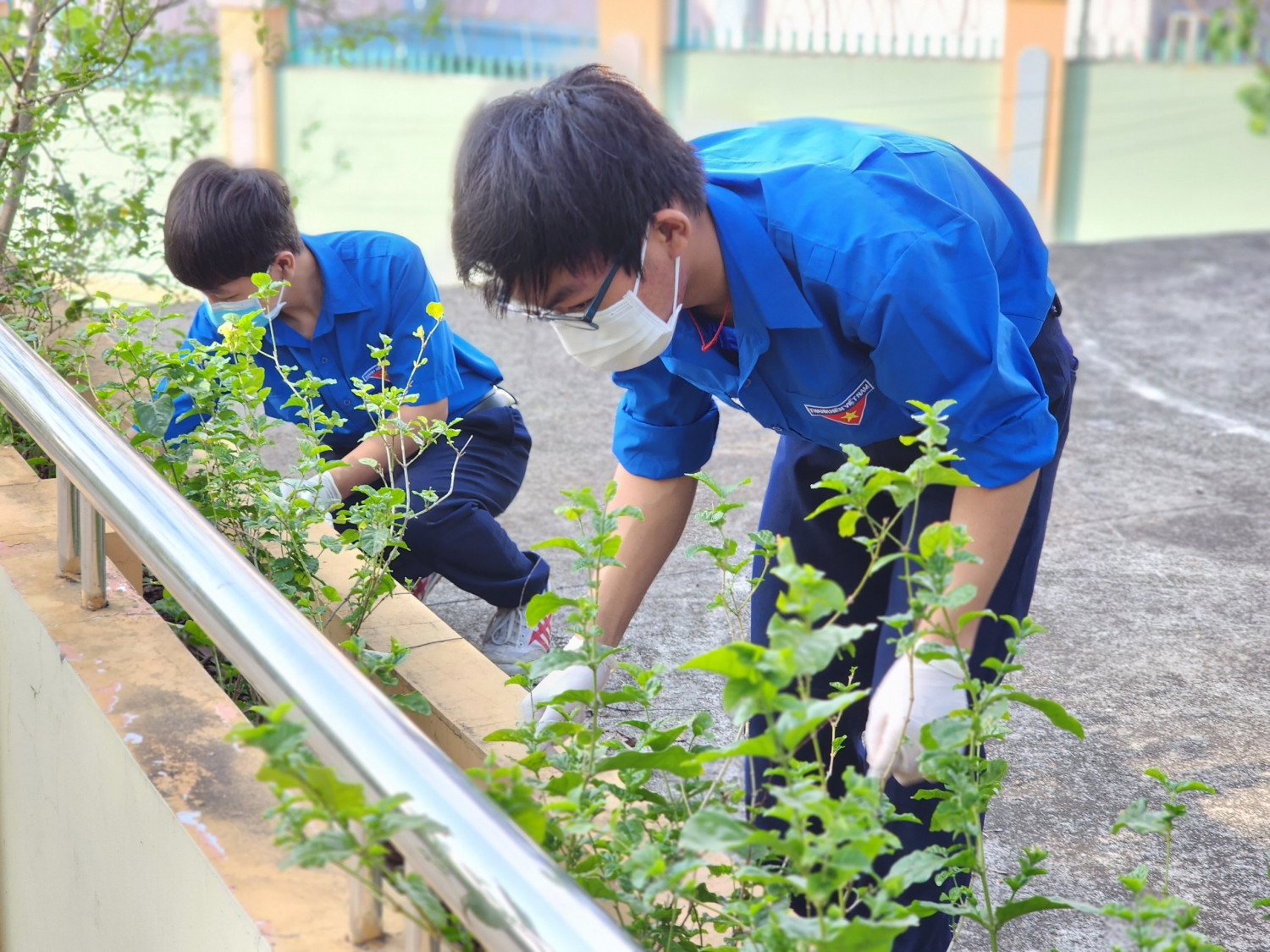 z4363217860217 f1d1abb506f3fb35926eae9db246580a