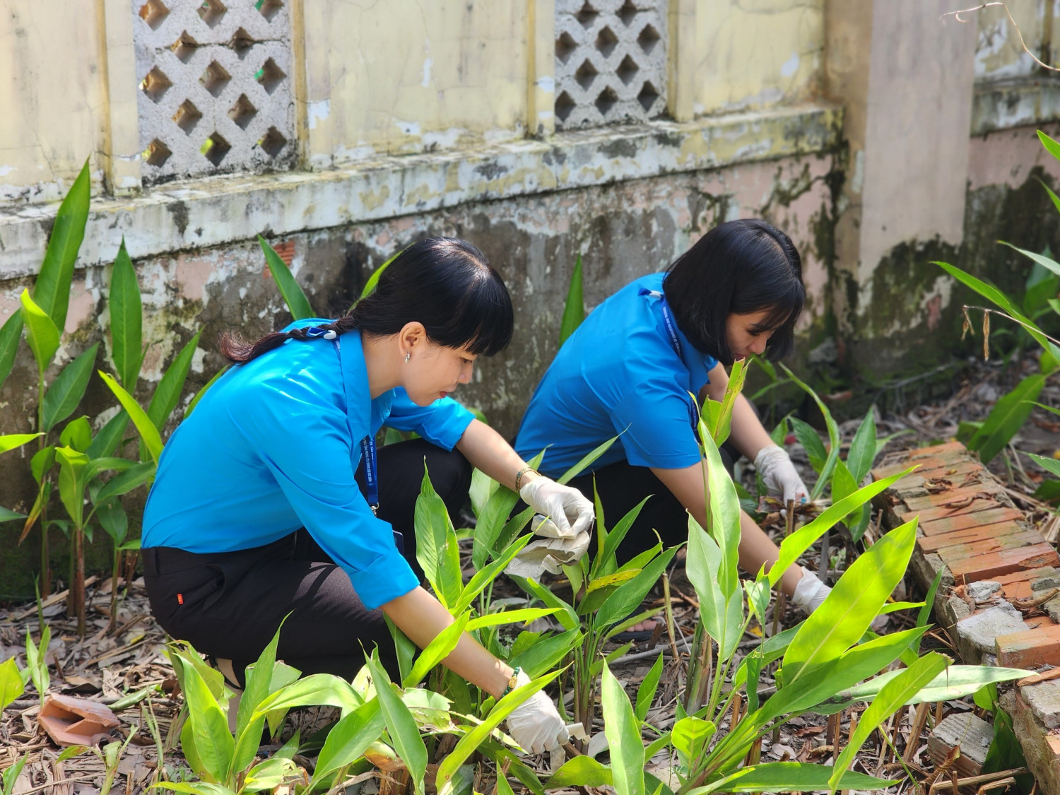 z4708079884295 cefb2cbae911ed689e9a33d3c1f63446