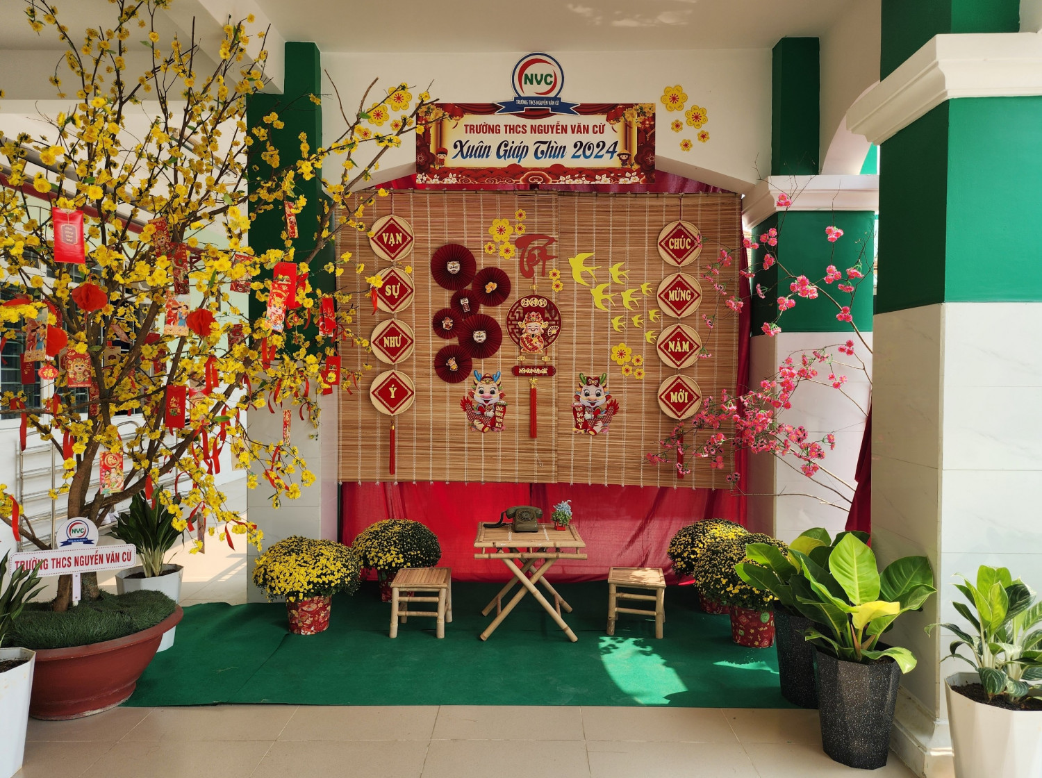 z5133757528209 8c8da4fb97792d8b562cbc80ec212d9a