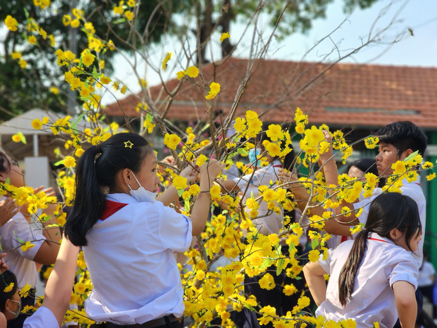 z5166873446934 ae092a17663afb11968251f5090f8b01