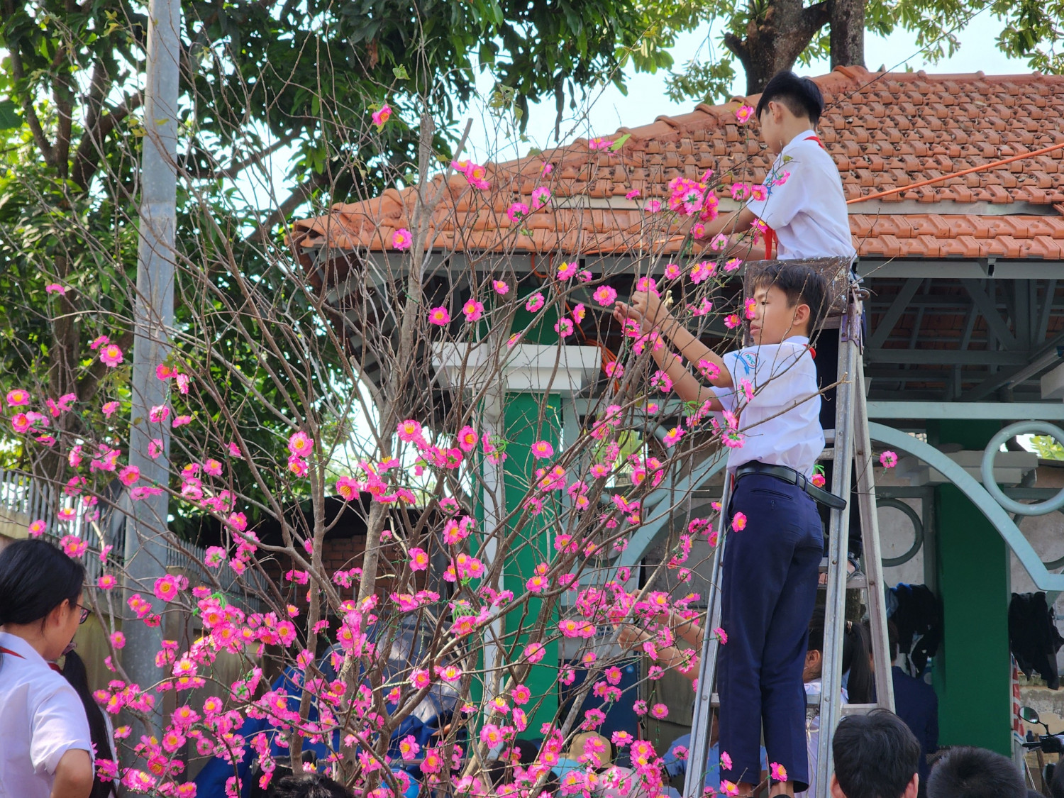 z5166873461547 34a969c4340da306b92aef5b1e9c2586