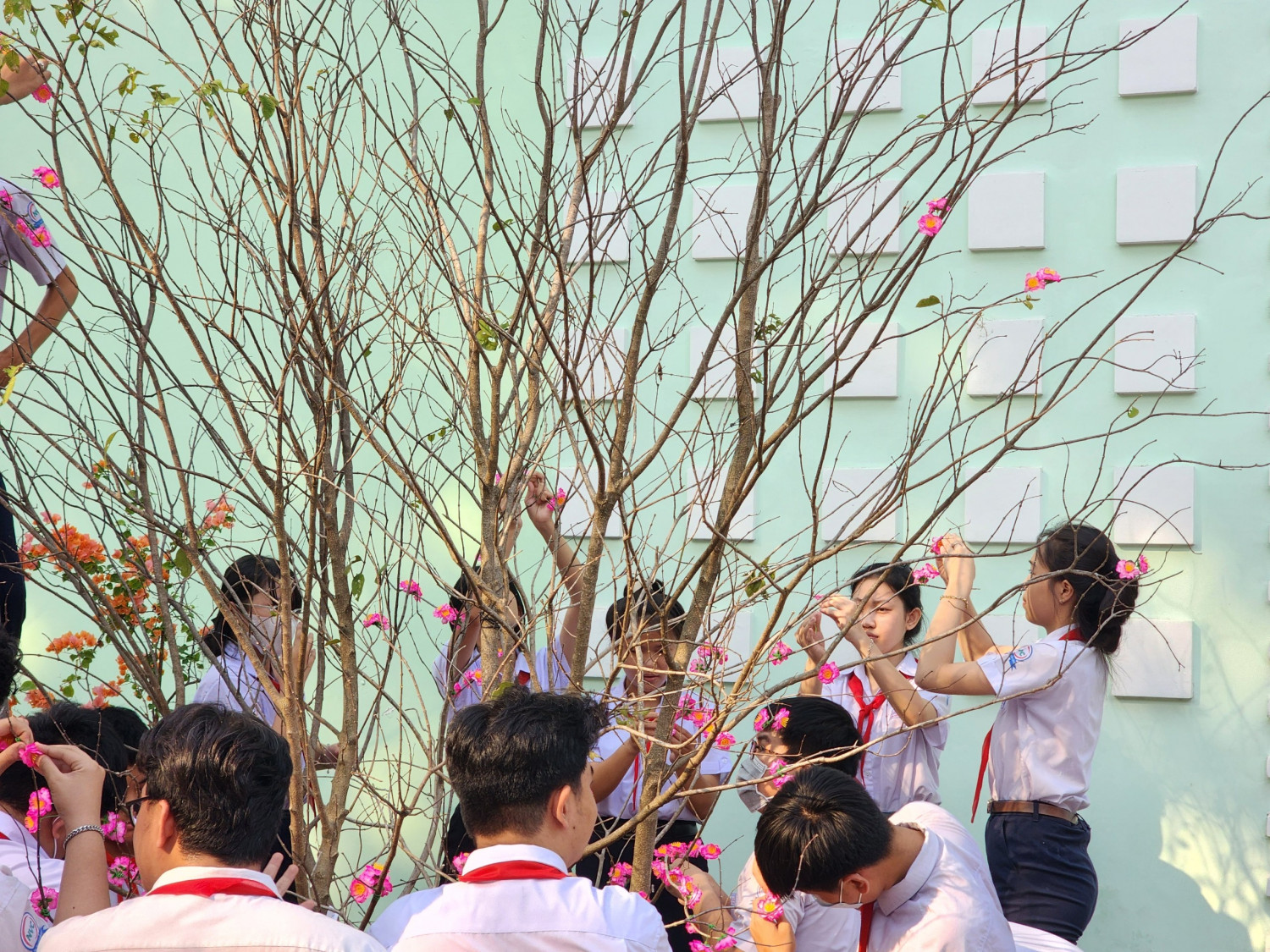 z5166873465497 51289ec37f6dabfaca733cc0eec7b27d