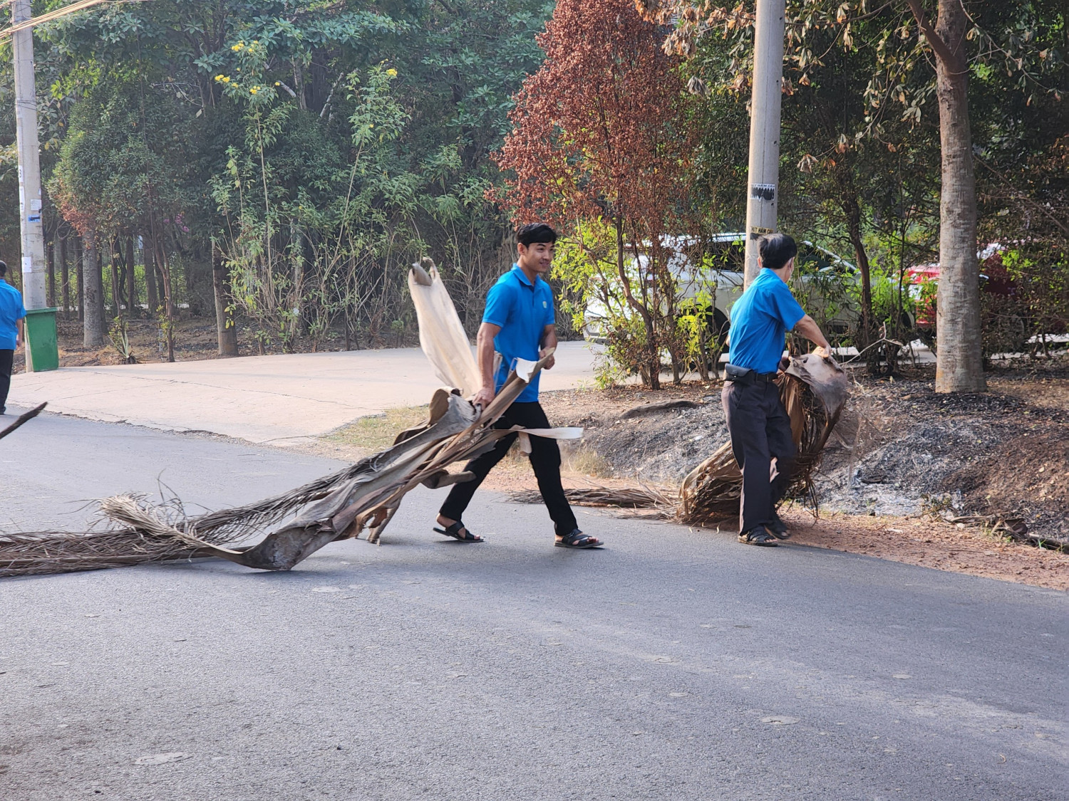 z5231609372807 f3e0b99096170d66d74c9ea57662ed78