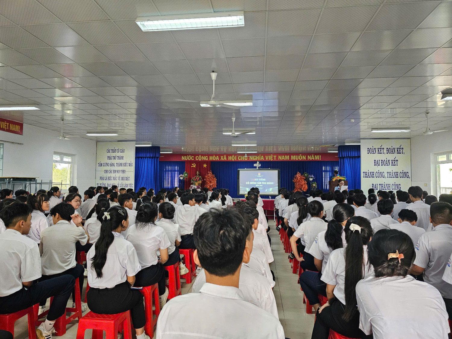 z6441686361934 8d07b39414cf30e2d06bc322848664f2