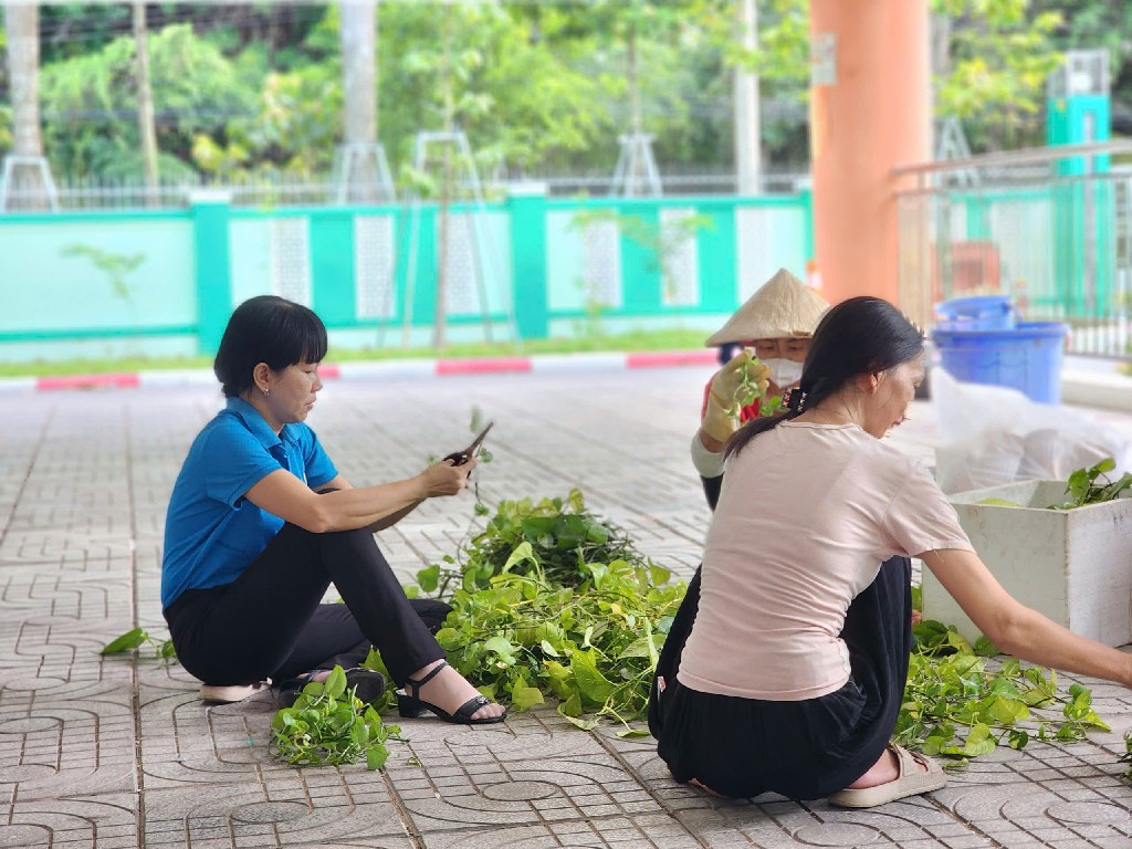 z6960726337537 6110d7ba883580baed14d515473caee6