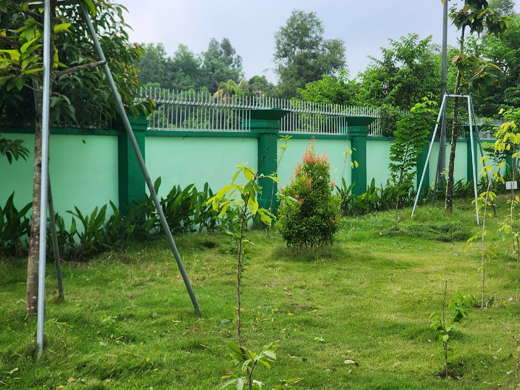 z7008215784493 34d5796da1728aa1953ca80241c99806