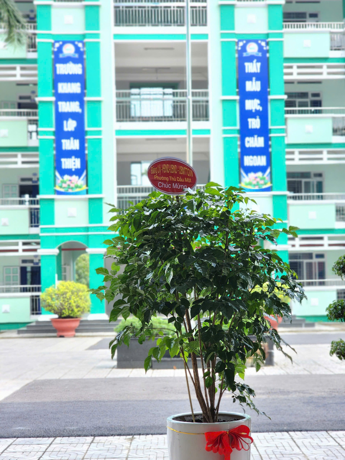 z7209488272370 937be7b8133d400bd2bcb02a8139056a